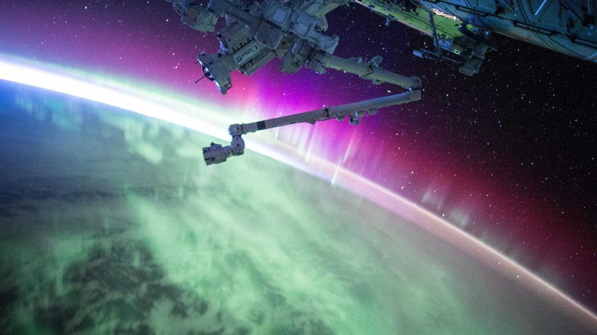 Un cerdito hucha de cristal con monedas de euro y una pequeña planta creciendo dentro, simbolizando el ahorro constante.